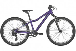 Dviratis Bergamont Revox 24