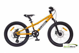 Dviratis CLASSIC PRO 20+