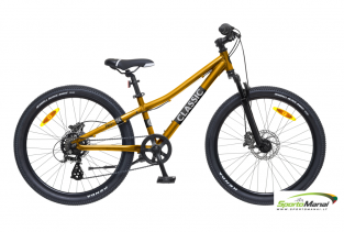 Dviratis CLASSIC PRO 24+
