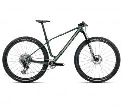 Dviratis ORBEA ALMA M-LTD Seaweed Carbon View (Matt-Gloss)