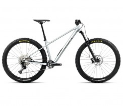 Dviratis ORBEA LAUFEY H10 Smooth Silver (Matt) - Titanium (Gloss)