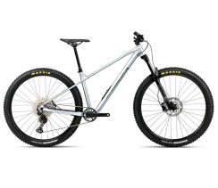 Dviratis ORBEA LAUFEY H30 Smooth Silver (Matt) - Titanium (Gloss)