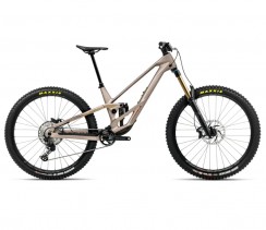 Dviratis ORBEA RALLON 450 E10 Nickel (Matt) - Nickel Chrome (Gloss)