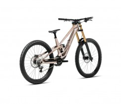 Dviratis ORBEA RALLON D-LTD Nickel (Matt) - Nickel Chrome (Gloss)