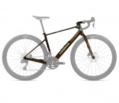 Dviratis ORBEA TERRA OMR Caramel Carbon View (Gloss)