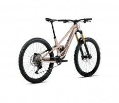 Elektrinis dviratis ORBEA RALLON 450 E-LTD Nickel (Matt) - Nickel Chrome (Gloss)