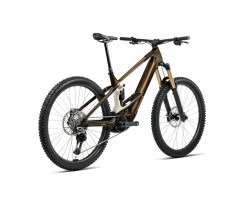 Elektrinis dviratis ORBEA WILD M10 Caramel Carbon View (Gloss) - Cream White (Matt)