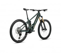 Elektrinis dviratis ORBEA WILD/M M-TEAM Seaweed Carbon View Matt